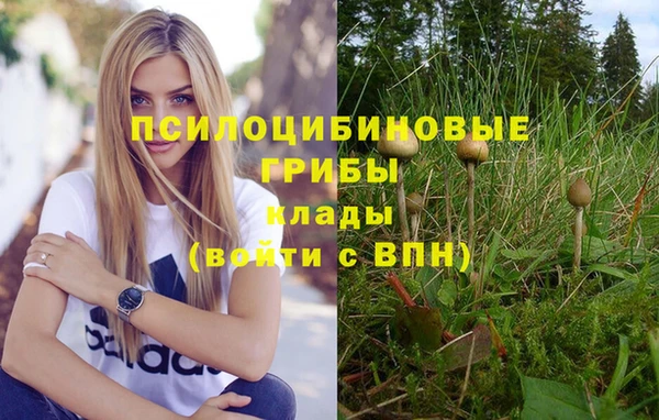 таблы Белокуриха