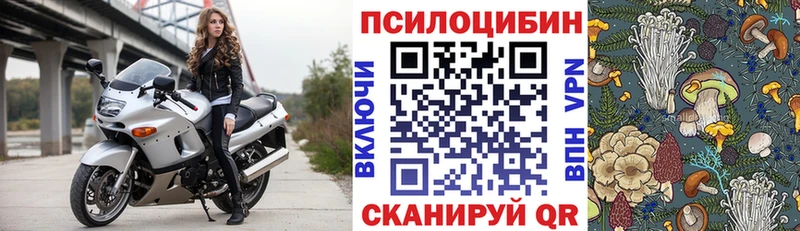 Псилоцибиновые грибы прущие грибы  Купить где  Курчалой 